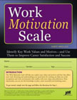 Work Motivation Scale